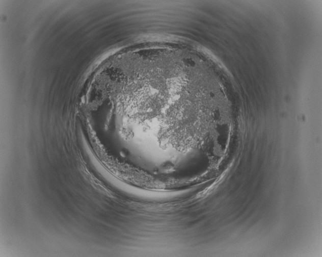 X0000084581025200702231250