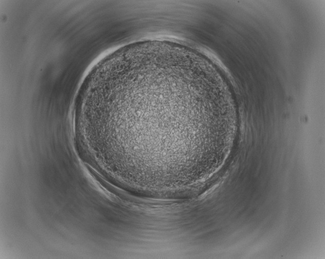 X0000084581032200702231250