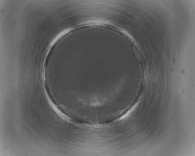 X0000084581034200702231250