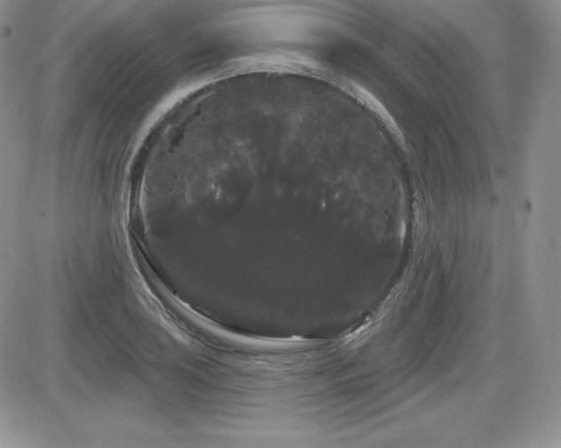 X0000084581035200702231250