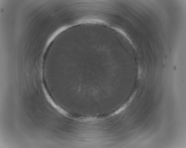 X0000084581038200702231250