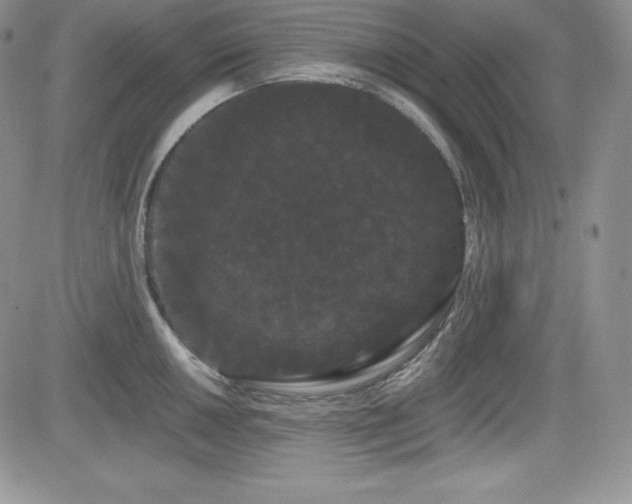X0000084581050200702231250