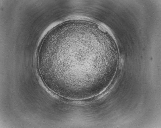 X0000084581053200702231250