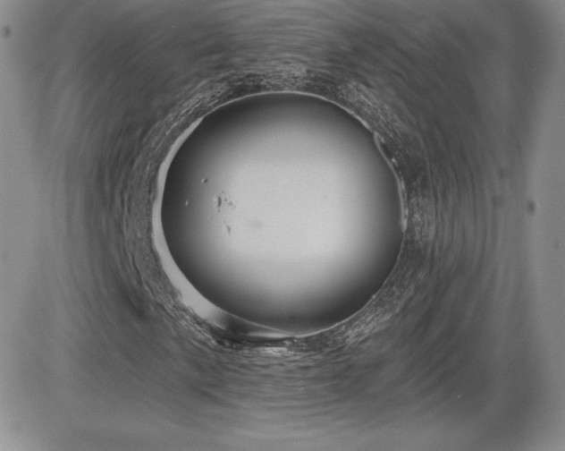 X0000084581057200702231250