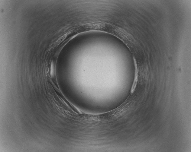X0000084581058200702231250