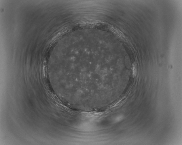 X0000084581059200702231250