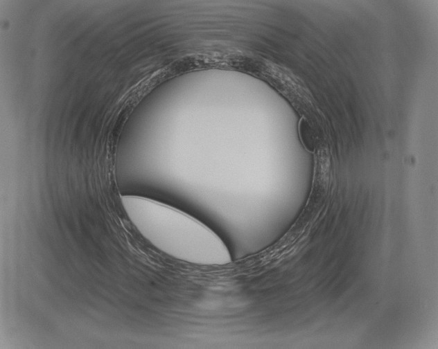 X0000084581060200702231249