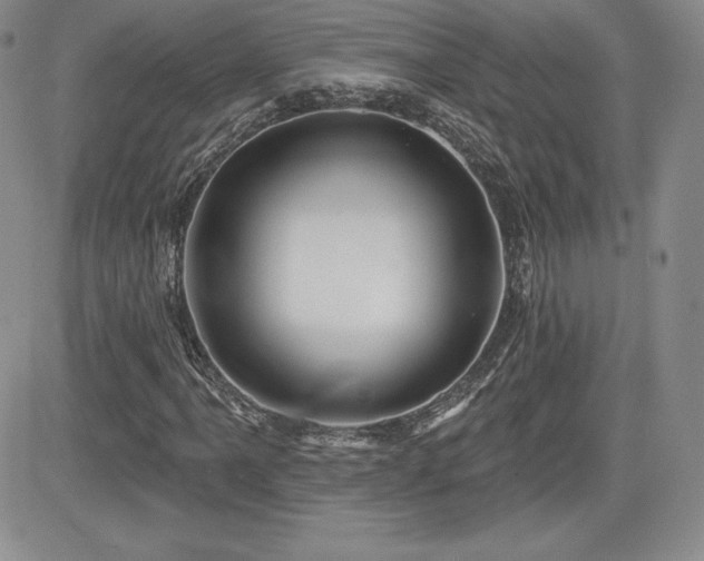 X0000084581061200702231249
