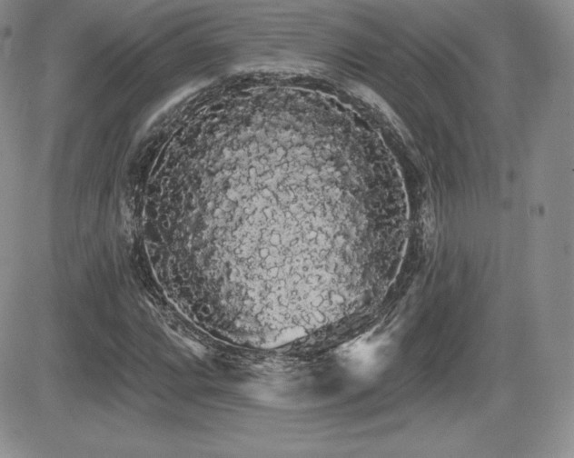 X0000084581064200702231249
