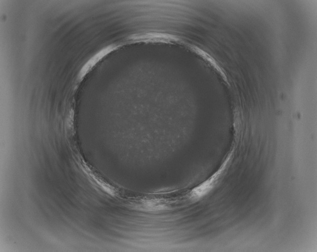 X0000084581066200702231249