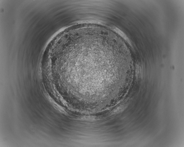 X0000084581068200702231249