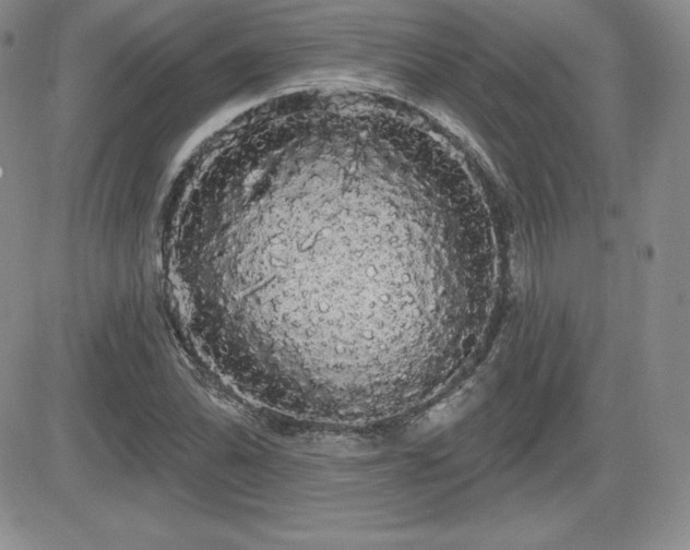 X0000084581070200702231249