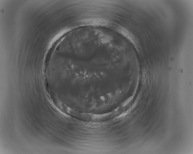 X0000084581071200702231249