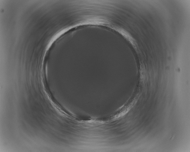 X0000084581077200702231249