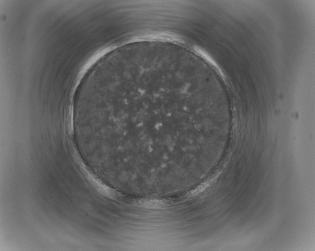 X0000084581079200702231249