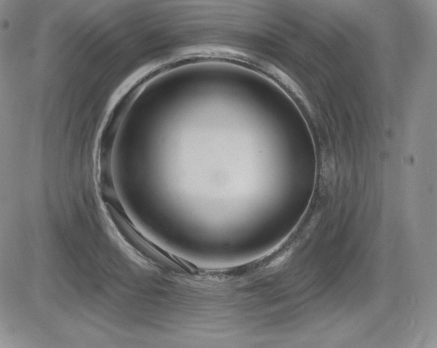 X0000084581082200702231249