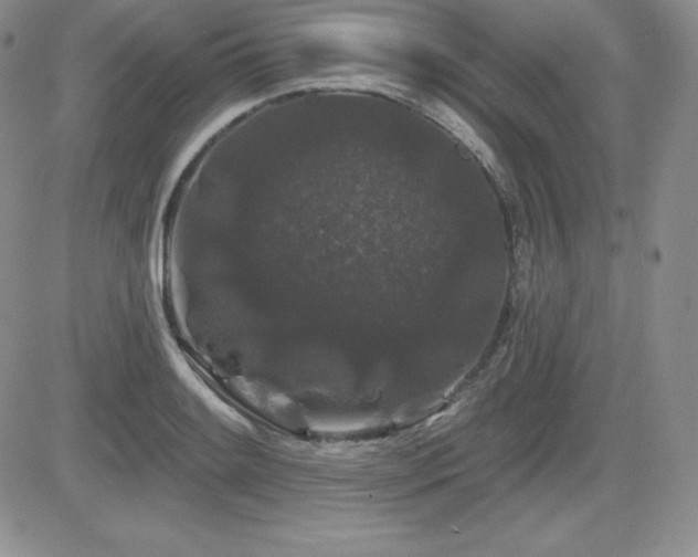 X0000084581084200702231249