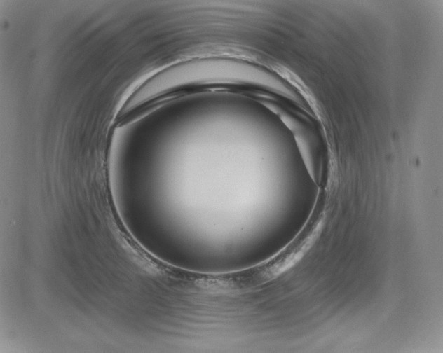 X0000084581089200702231249