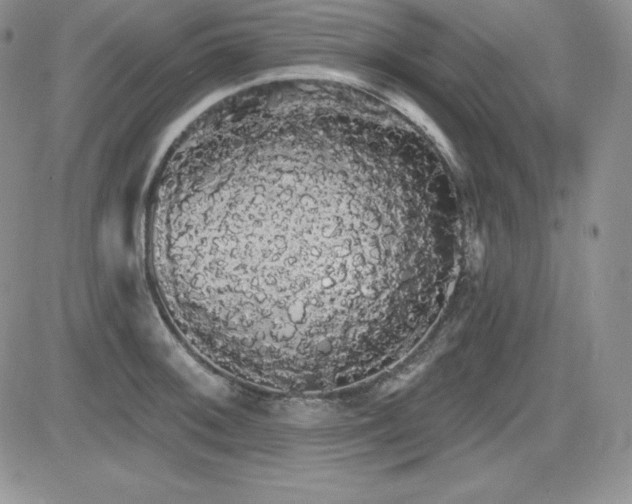 X0000084581092200702231249