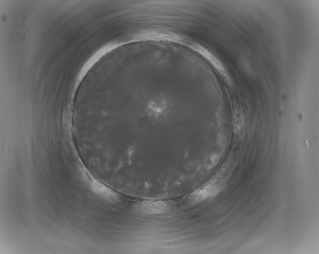 X0000084581094200702231249