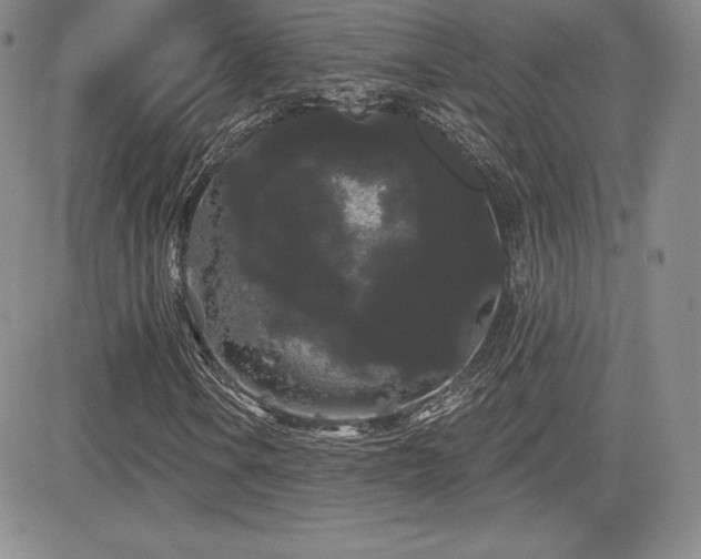 X0000084581106200702231248