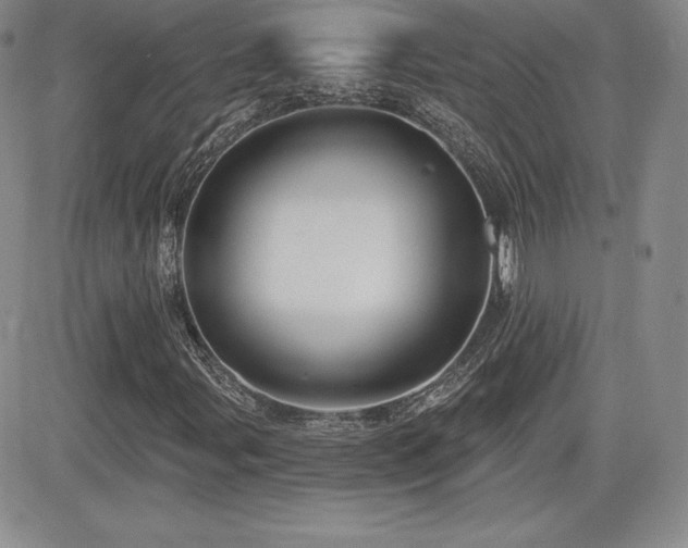 X0000084581107200702231248
