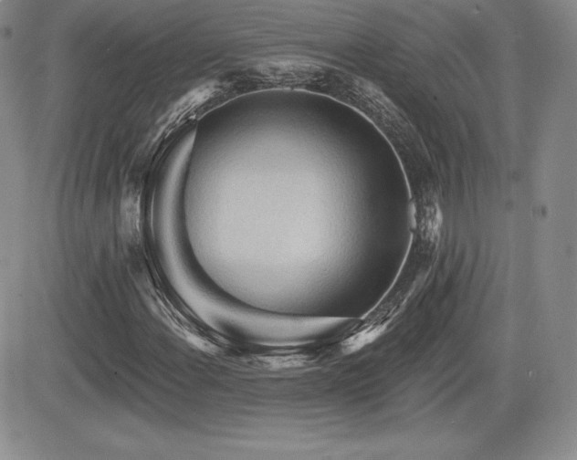 X0000084581108200702231248