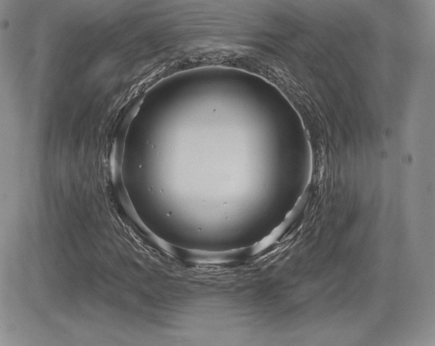 X0000084581109200702231248