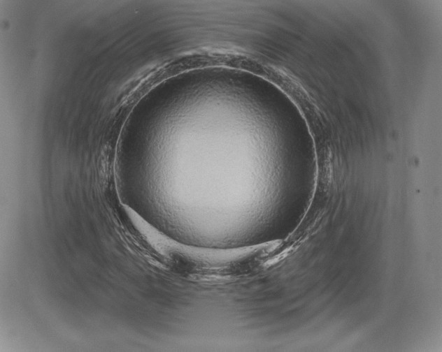 X0000084581110200702231248
