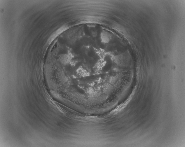 X0000084581121200702231248