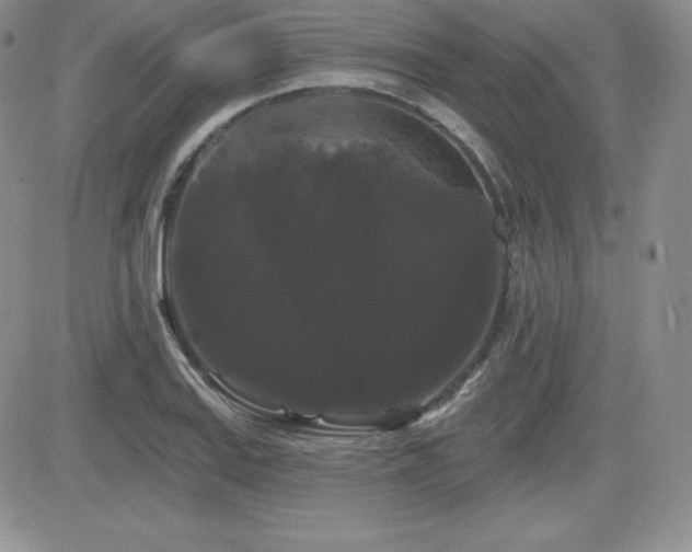 X0000084581127200702231248