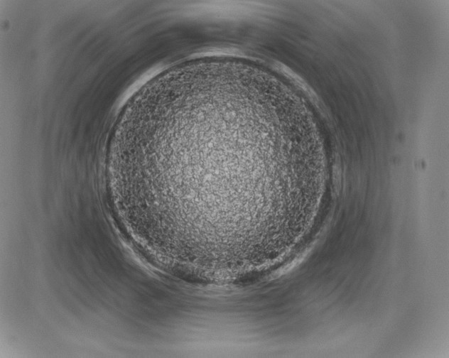 X0000084581129200702231248