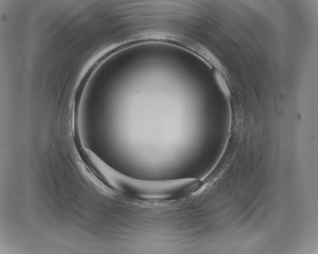 X0000084581132200702231248