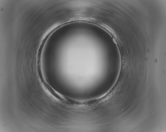 X0000084581135200702231248