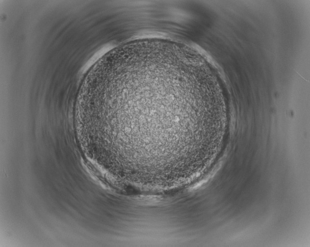 X0000084581137200702231248