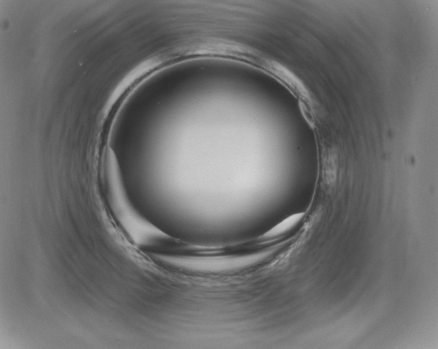 X0000084581138200702231249