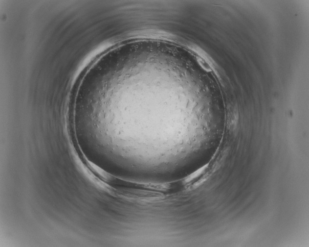 X0000084581139200702231249