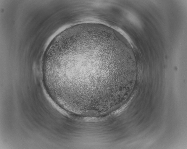 X0000084581142200702231249