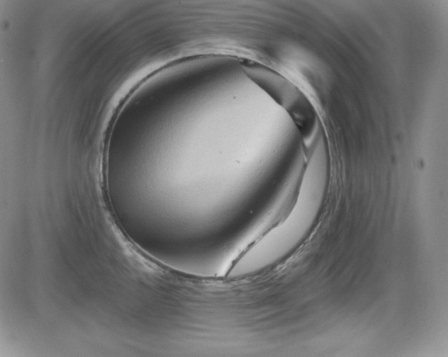 X0000084581144200702231249
