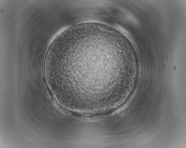 X0000084581145200702231249