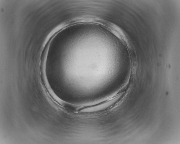 X0000084581146200702231249
