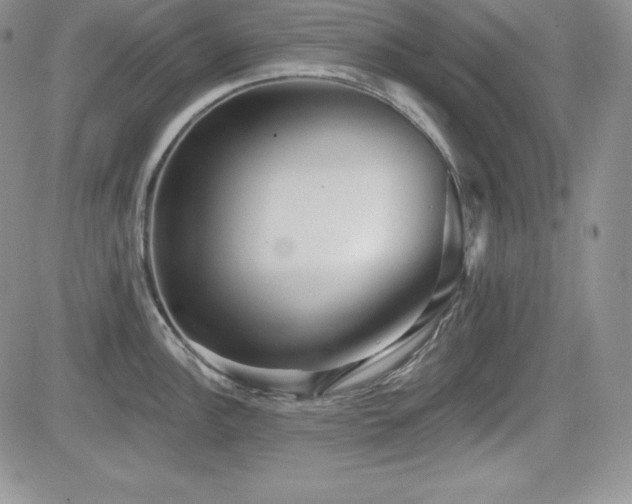 X0000084581148200702231249