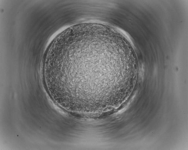 X0000084581149200702231249