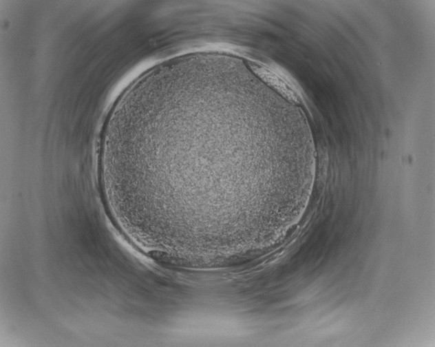 X0000084581151200702231249
