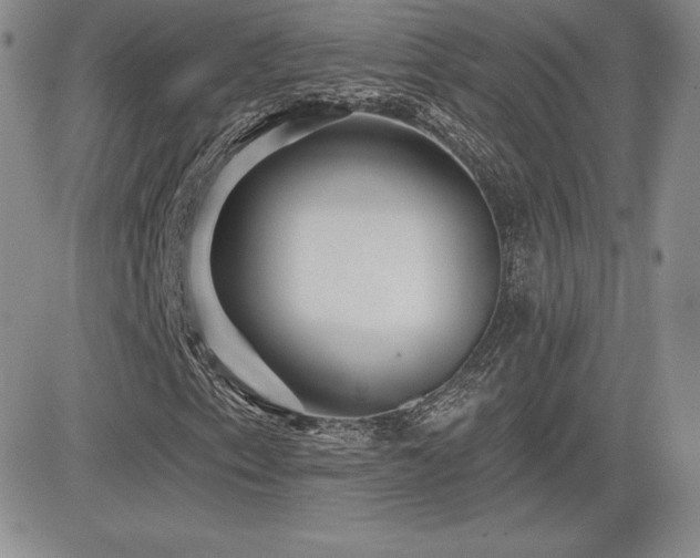 X0000084581153200702231248