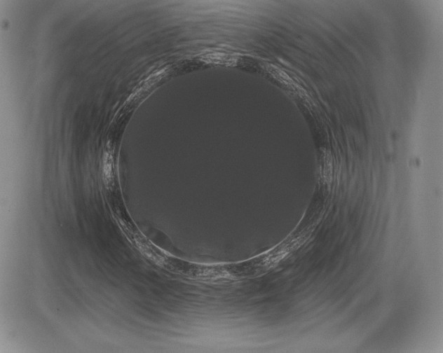 X0000084581154200702231248
