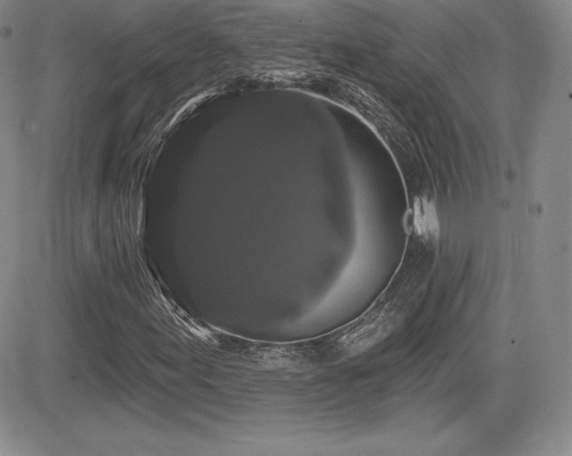 X0000084581155200702231248