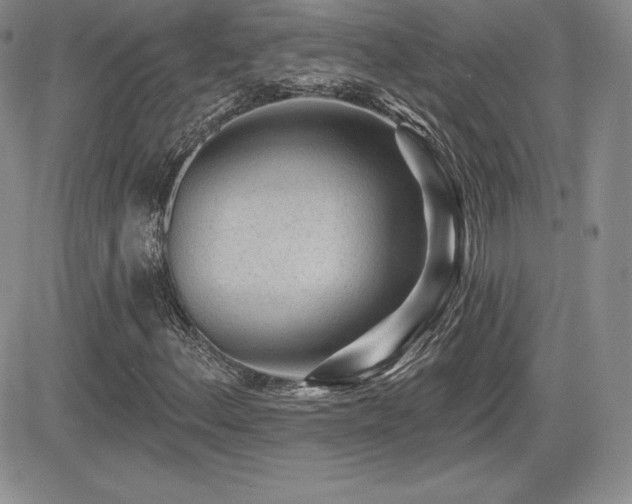 X0000084581156200702231248