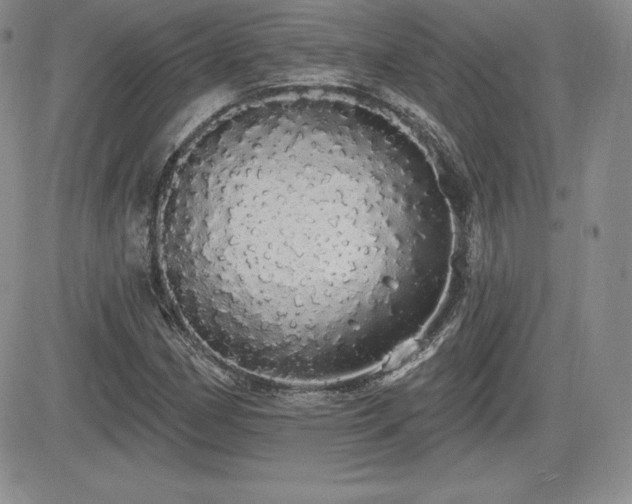 X0000084581162200702231248