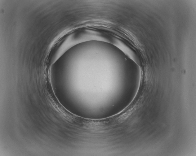 X0000084581164200702231248